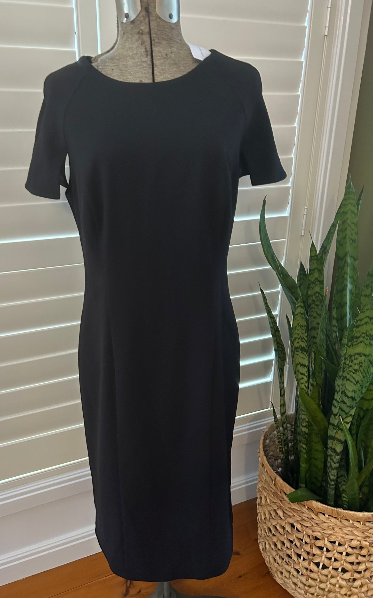 Veronika Maine dress size 12